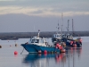 thumbs moored boats east end Harbour